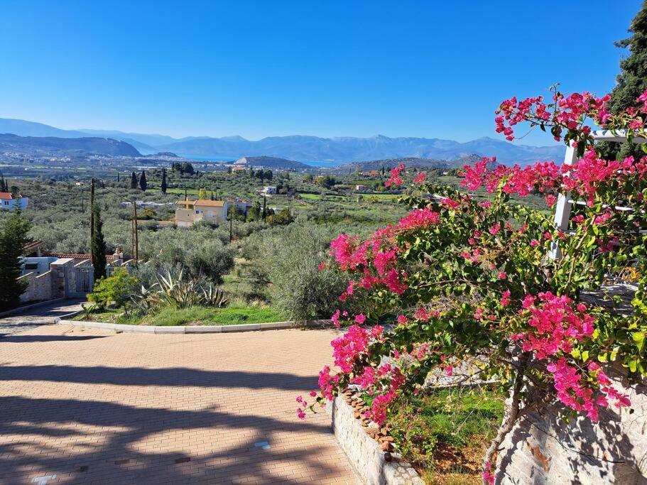 Nafplio, Hill With An Amazing View Daire Dış mekan fotoğraf